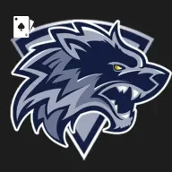 Cassino ao vivo da vvibet com dealers reais